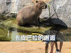 -沈阳森林动物园