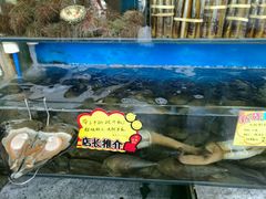 -蚝专家(北滘店)