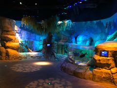 -沈阳海洋探索中心