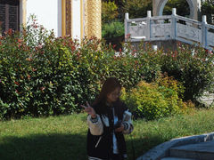 -报恩禅寺
