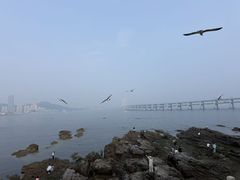-黑石礁公园