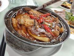 -日日香卤鹅饭店·澄海狮头鹅(澄海店)