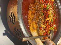 -探鱼·鲜青椒爽麻烤鱼(北京路天河城店)