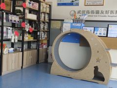 -伟伟宠物医院·瑞派猫友好医院·猫科(光谷店)
