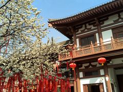 -西安青龙寺遗址景区