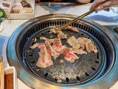 -杨记齐齐哈尔烤肉(总店)