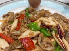 -丁老爷子苏香圆