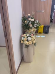 -东莞台心医院-医疗美容