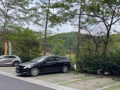-广州市帽峰山景区