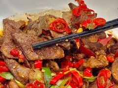 -老板恋上鱼(印象城店)