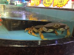 水产区-金迎海鲜酒家(金凤凰广场店)