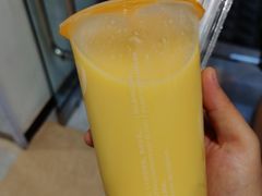 莓莓酸奶-CoCo都可(北美店)