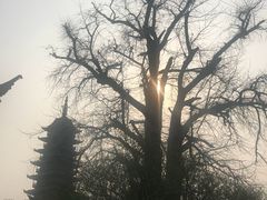-常熟方塔园