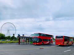 -霸王河欢乐世界