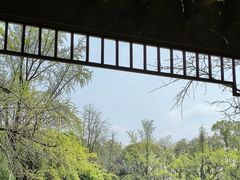 -四川大学(华西校区)