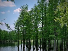 -白鹭湾湿地公园