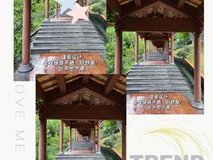 -广州神农草堂中医药博物馆