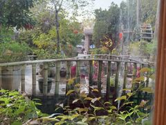-花溪雨·森林餐厅(石基店)