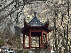 -少华山国家森林公园