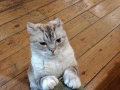 -雕刻时光·咖啡·酒吧·西餐(香山店)