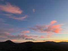 -长虫山生态公园风景林