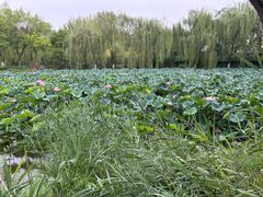 -南翠屏公园