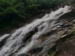 -广州白江湖森林公园