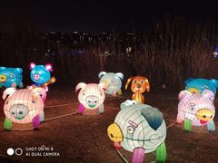 -飞凤山奥体公园