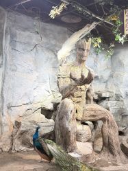 -Zoolung Zoolung动物主题公园(海信广场店)