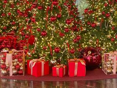 -乐天免税店(明洞店)