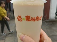 -猫的魔法密林(衣裳街店)