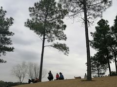 -美兰湖景区