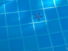 -三亚海棠湾万丽度假酒店