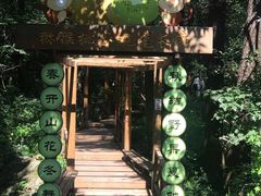-大岭沟猕猴桃谷风景区