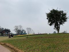-保利石象湖景区