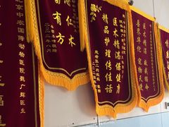 -中农国际动物医院24小时·猫科·骨科·急重症中心