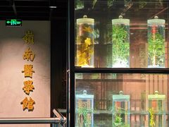 -广东中医药博物馆