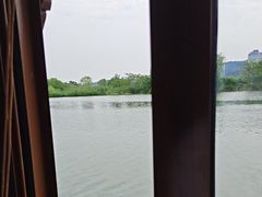 -长兴太湖图影湿地文化园