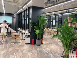 点击看大图 -藤野造型·专业烫染店