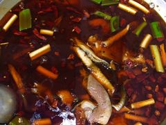 -川渔郎·鱼蛙自助火锅(文殊院店)