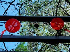-白马涧龙池景区