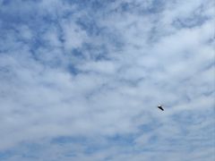 -深圳野生动物园