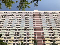 -彩虹村