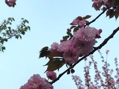 -苏州河梦清园环保主题公园