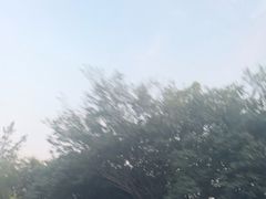 -五通灯塔公园