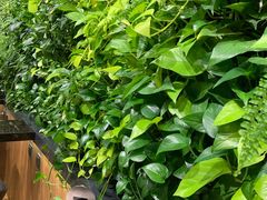 -Seesaw Coffee(环贸iapm店)