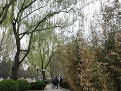 -菖蒲河公园
