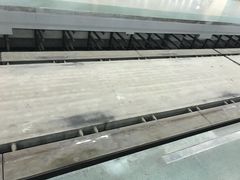 -龙阳路磁悬浮列车总站-停车场