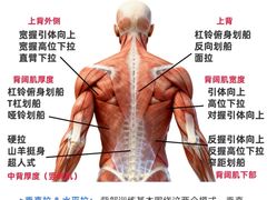 -锐动健身游泳(博地中心店)