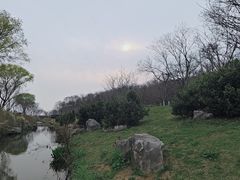 -羊山湖公园